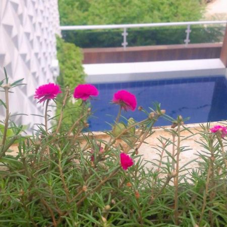 Pousada Berro Do Bode Otel Cabaceiras Dış mekan fotoğraf